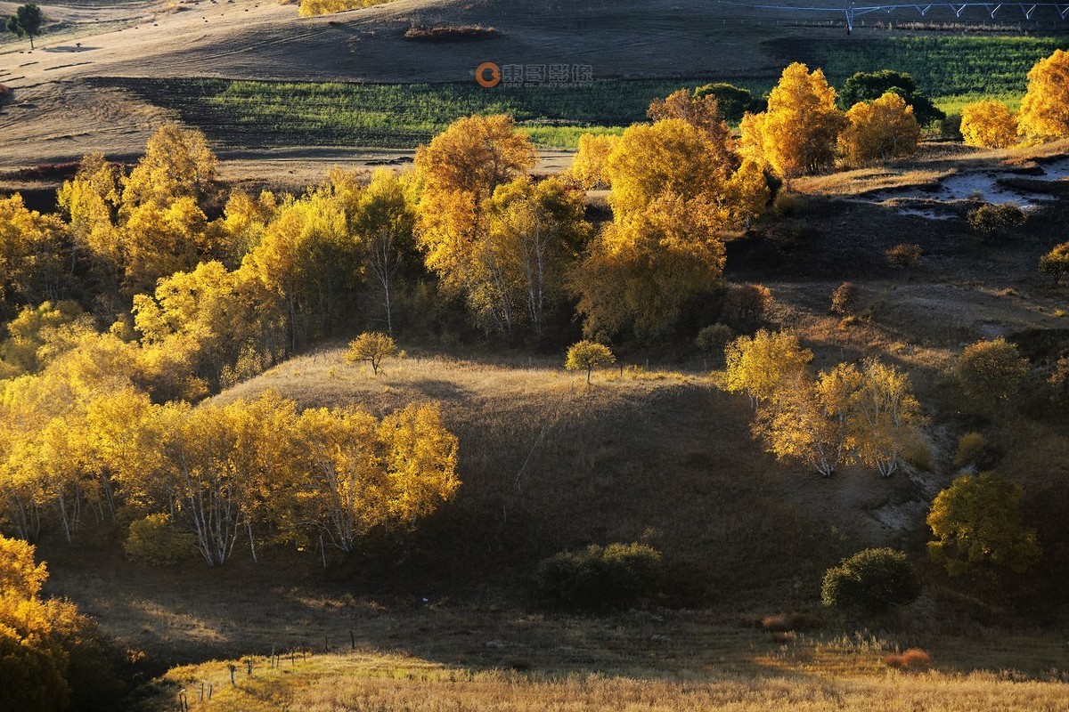 #ZOL月赛晒秋# 透风沟晨曦秋映