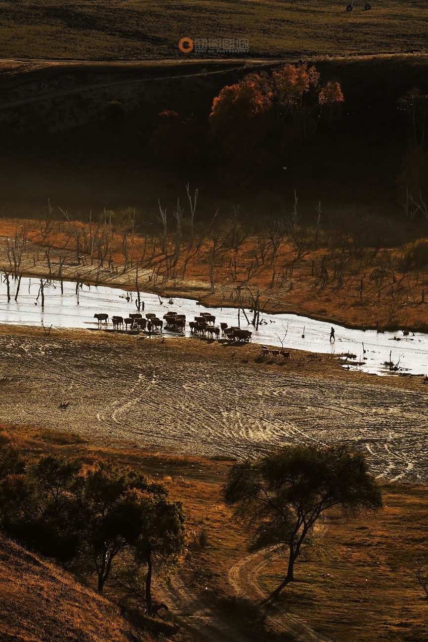 #ZOL月赛晒秋# 透风沟晨曦秋映