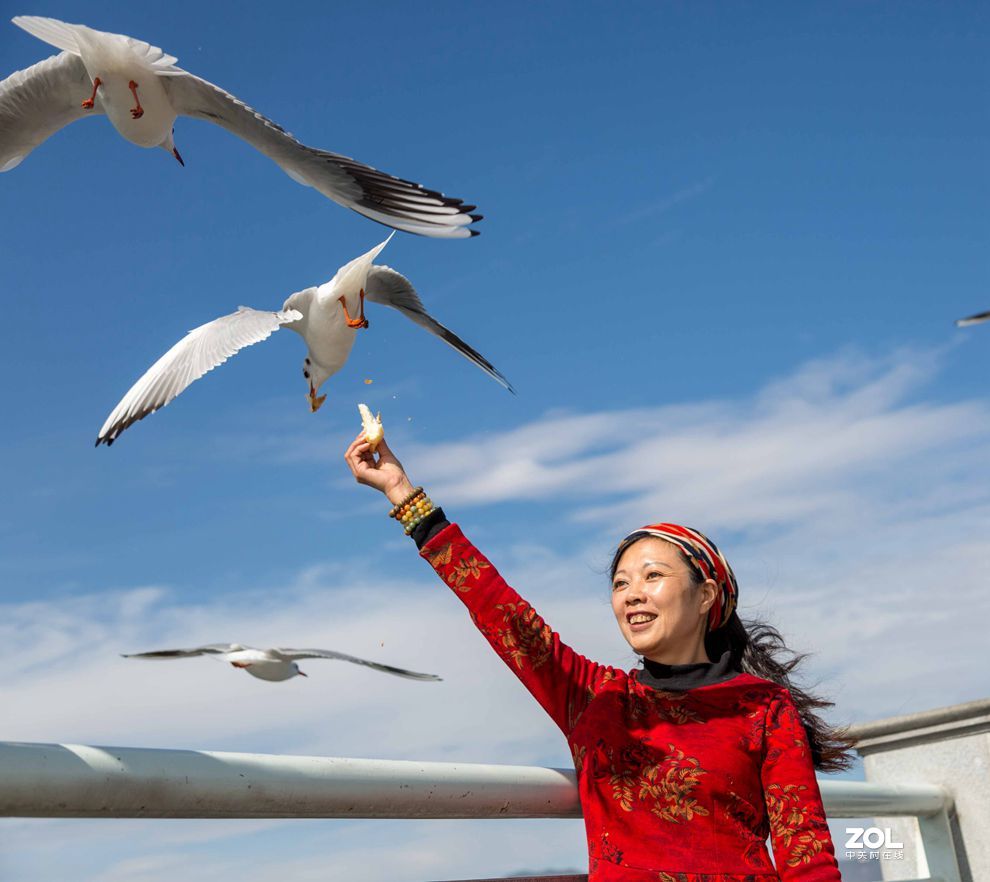 情操的陶冶    爱心的奉献
