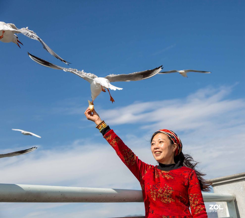 情操的陶冶    爱心的奉献