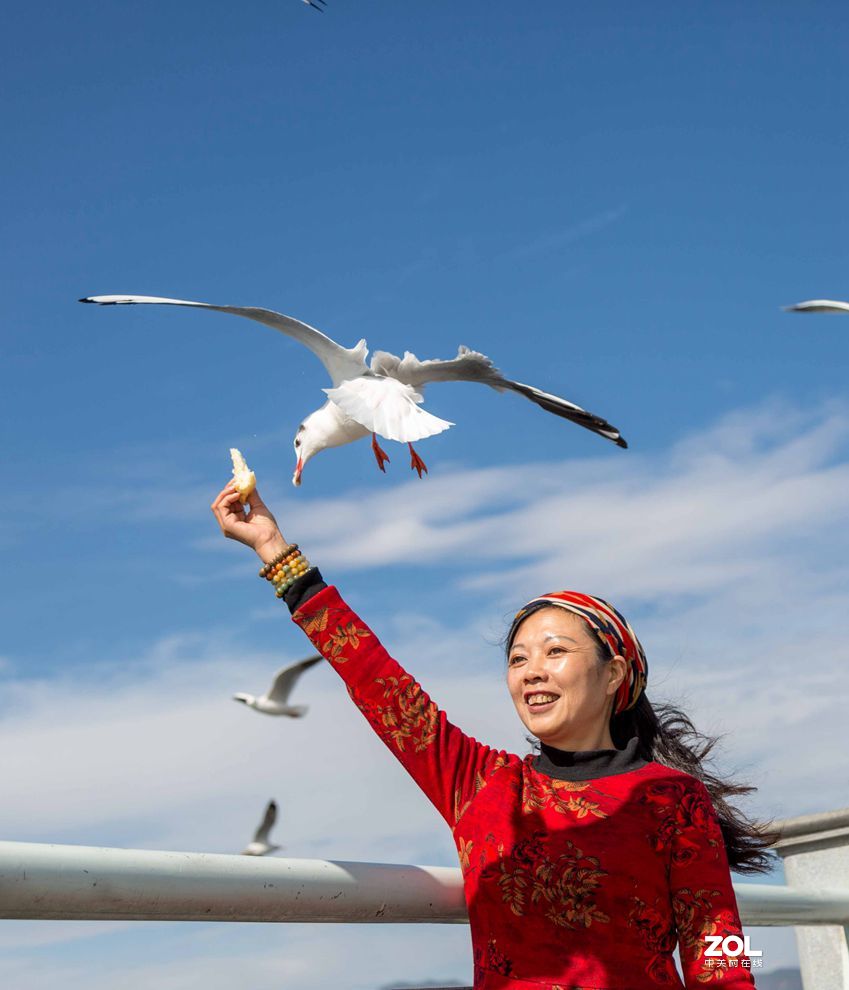 情操的陶冶    爱心的奉献