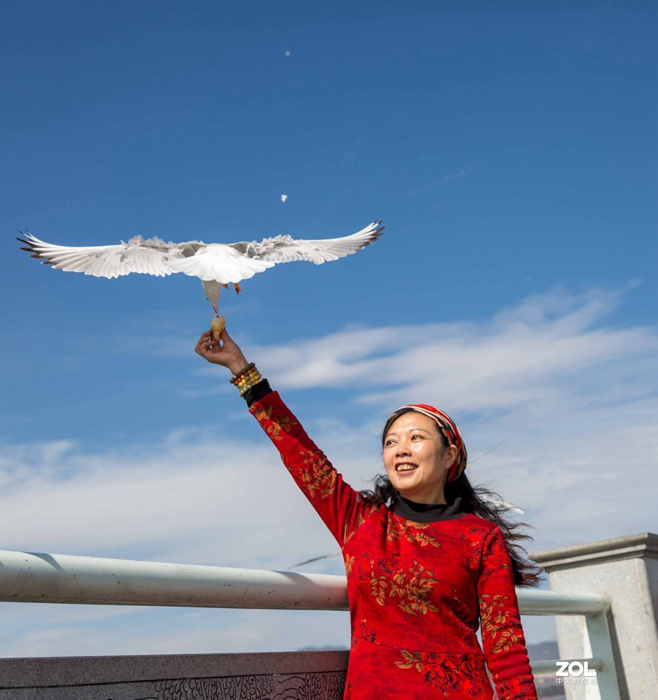 情操的陶冶    爱心的奉献