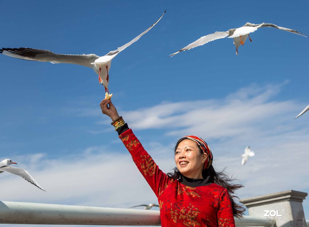 情操的陶冶    爱心的奉献