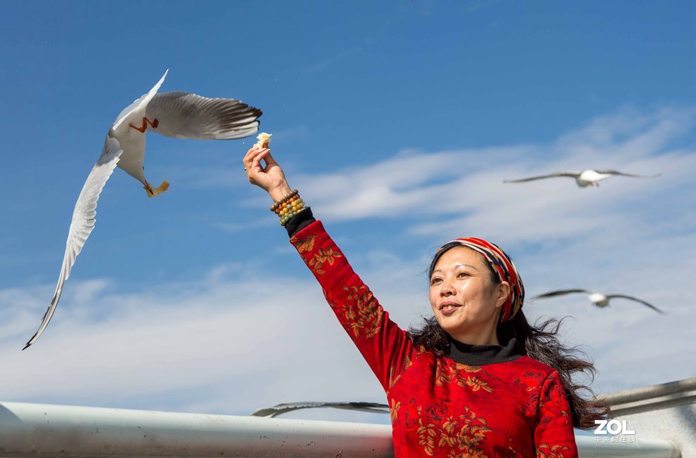 情操的陶冶    爱心的奉献