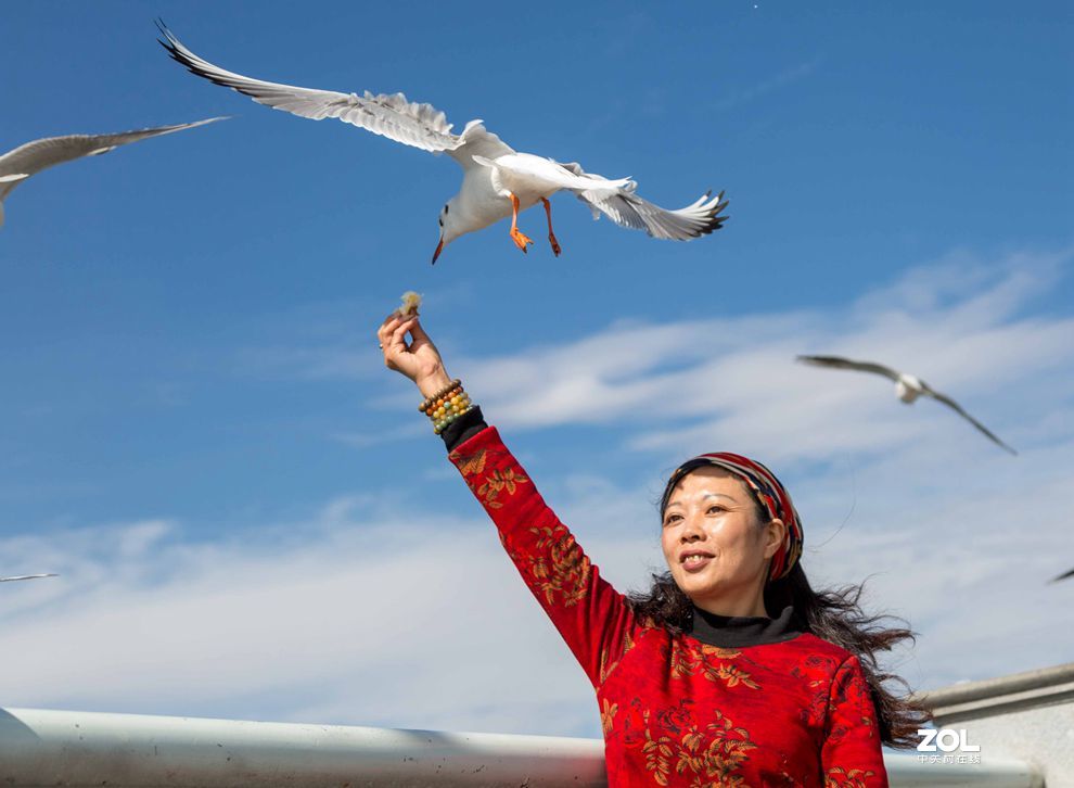 情操的陶冶    爱心的奉献