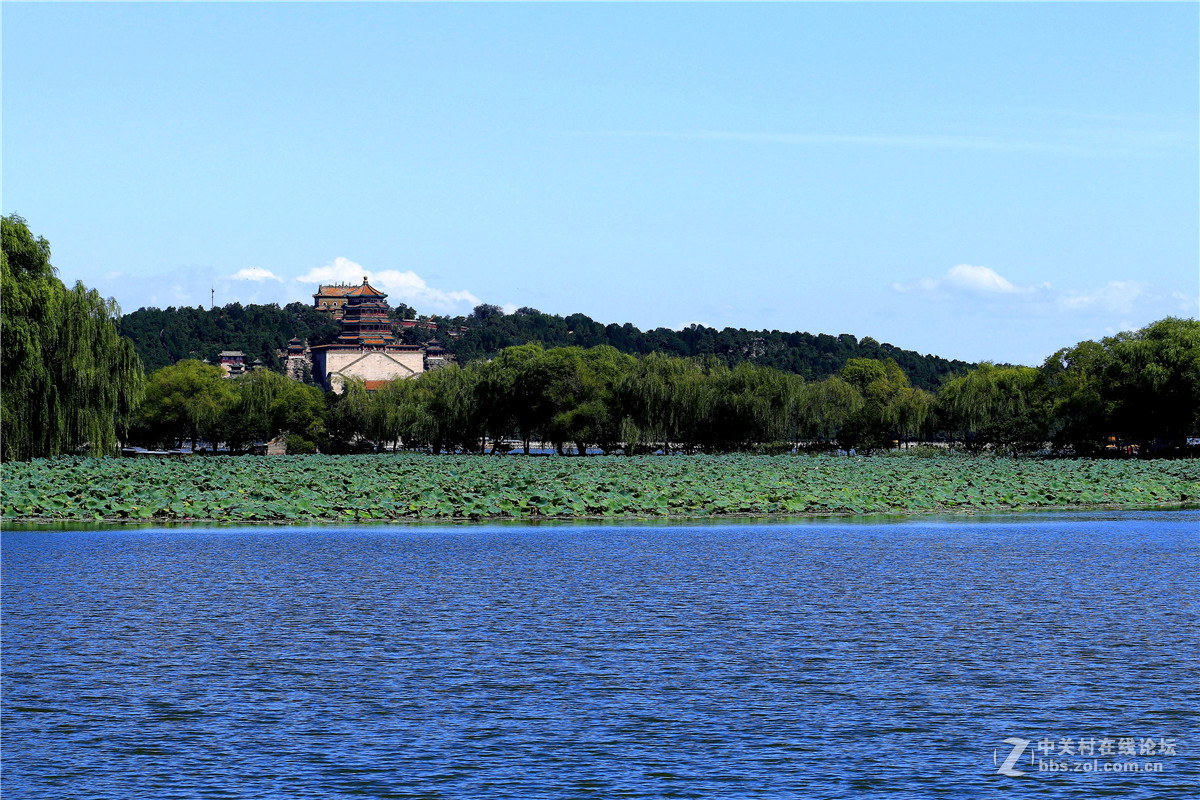 颐和园闲拍，续。