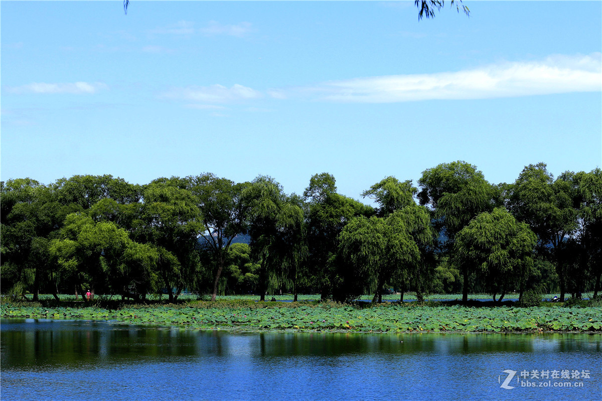 颐和园闲拍，续。