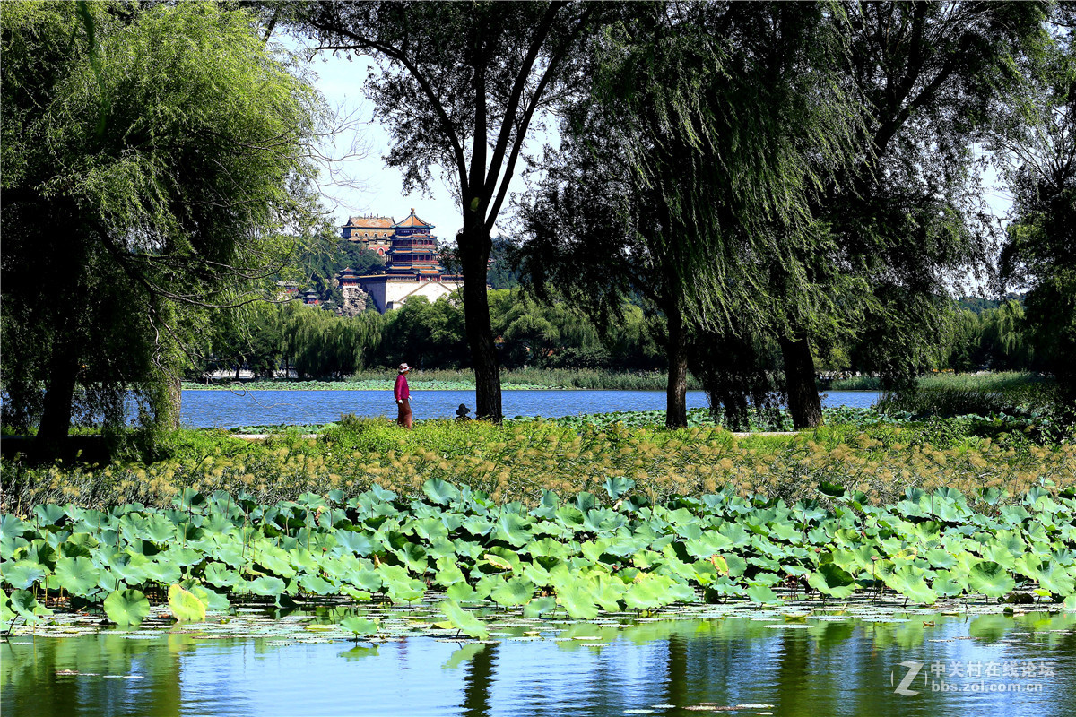 颐和园闲拍，续。