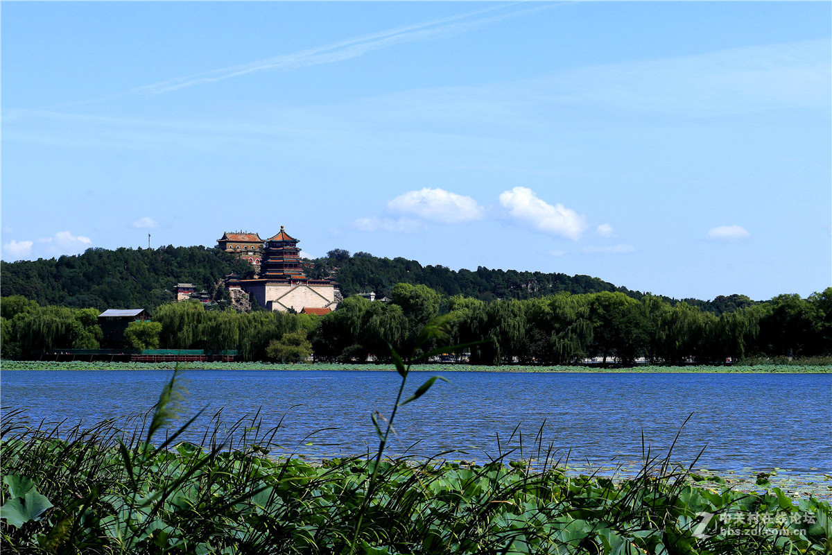 颐和园闲拍，续。