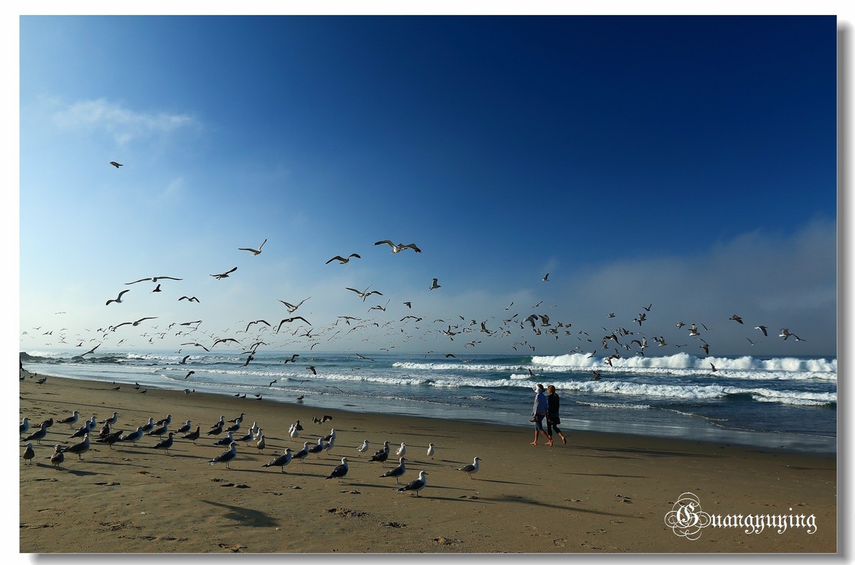 洛杉矶达因波恩特和长滩