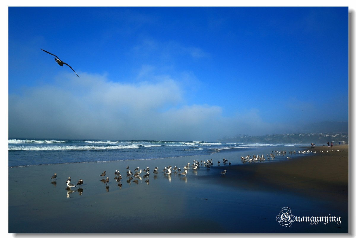 洛杉矶达因波恩特和长滩