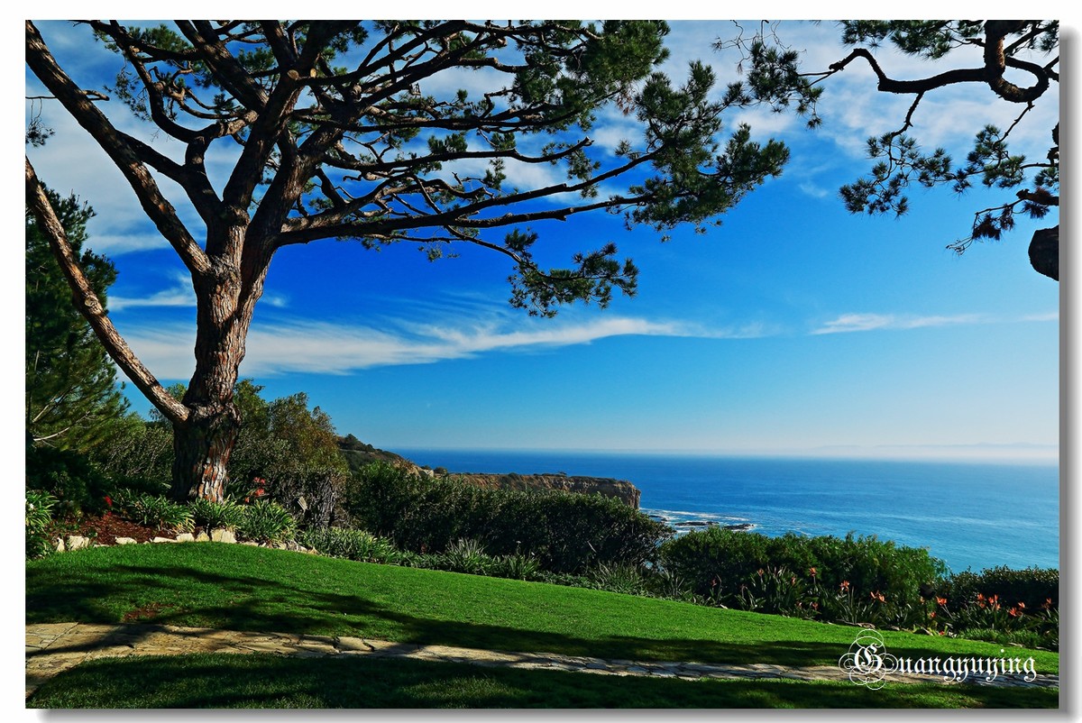 洛杉矶达因波恩特和长滩