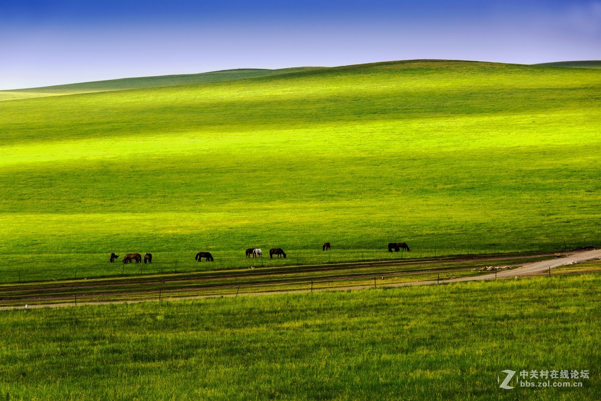 呼伦贝尔陈巴尔虎草原