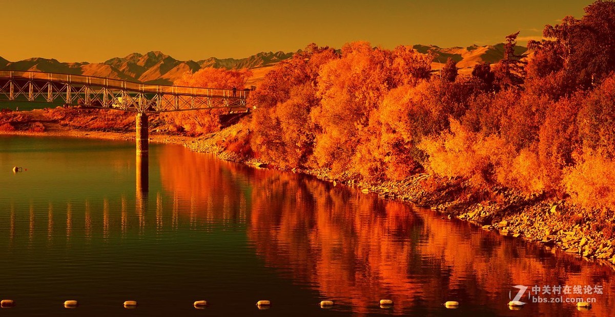 诗和远方：新西兰（2）