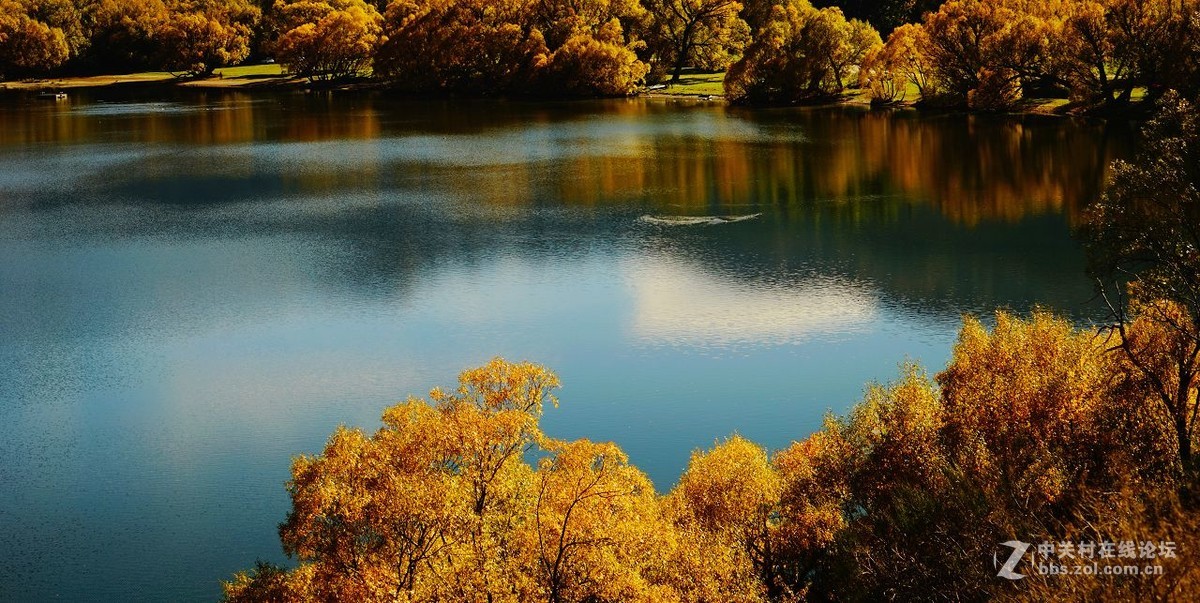 诗和远方：新西兰（2）