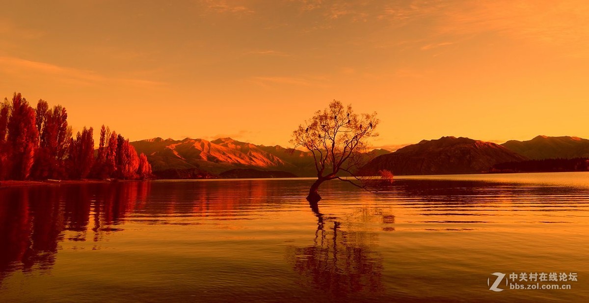 诗和远方：新西兰（2）