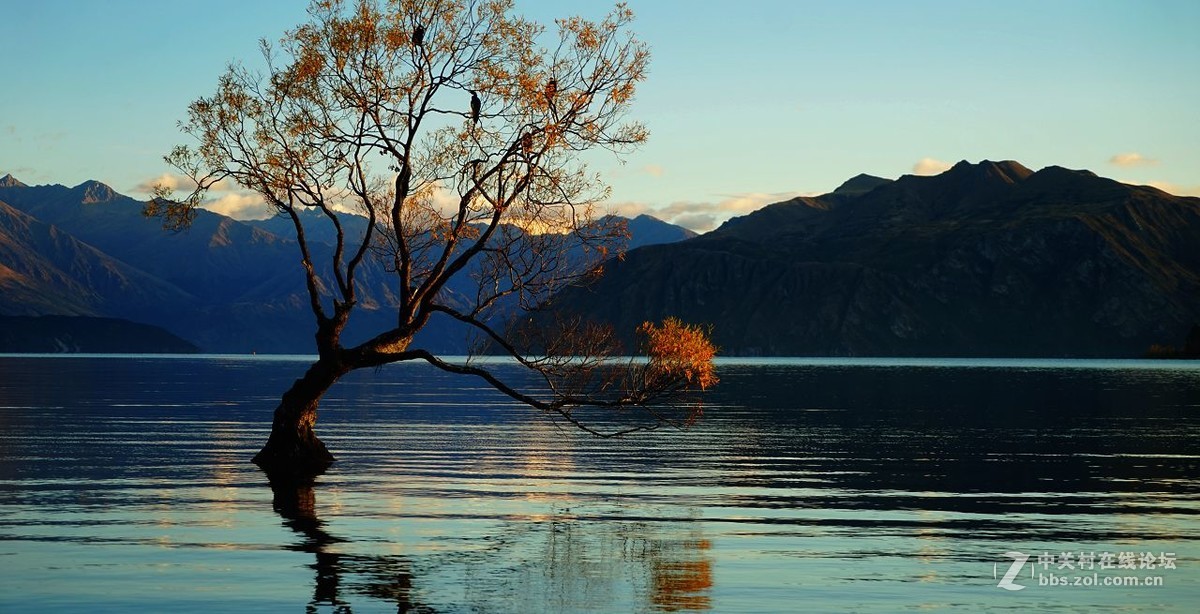 诗和远方：新西兰（2）