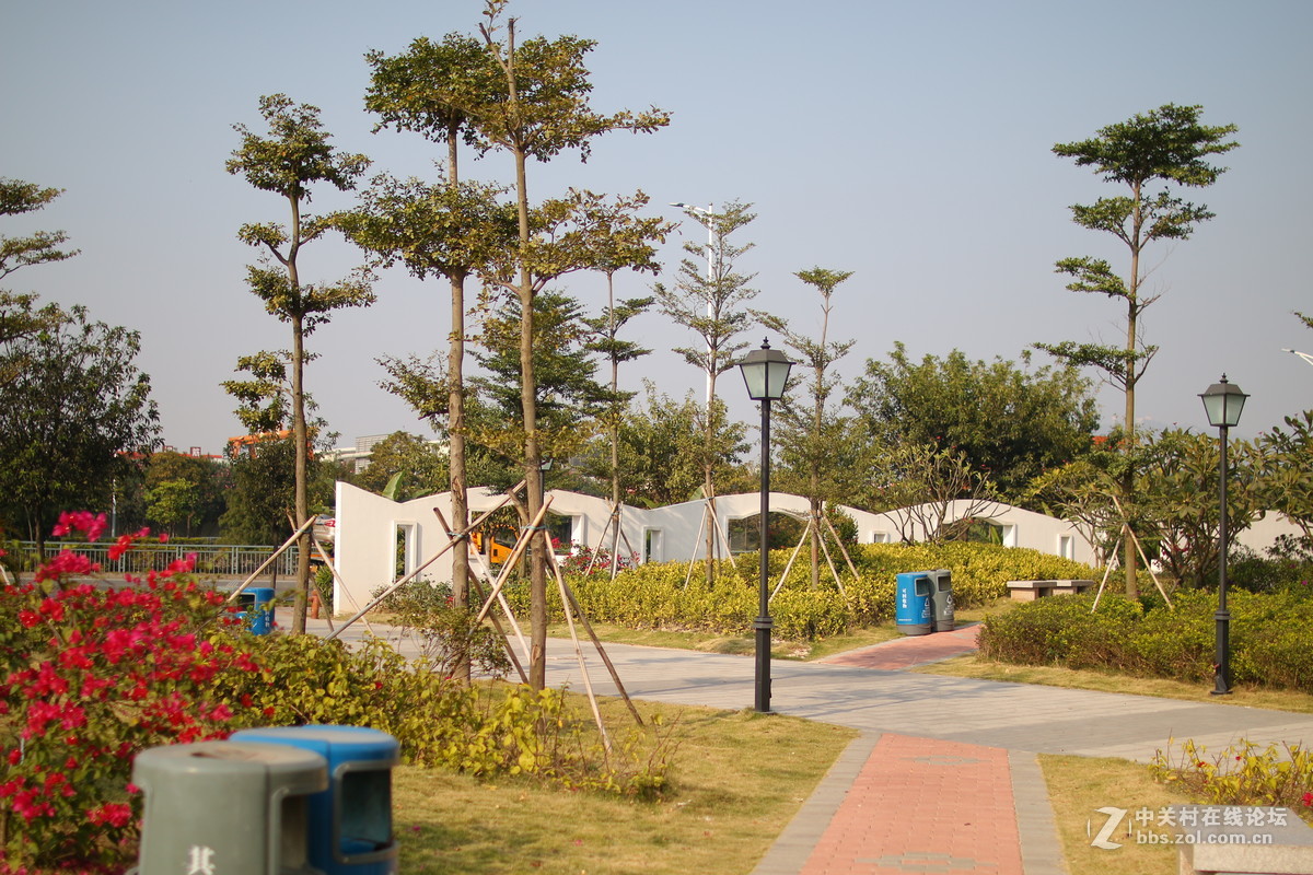 适马30 1.4A与狗头对比