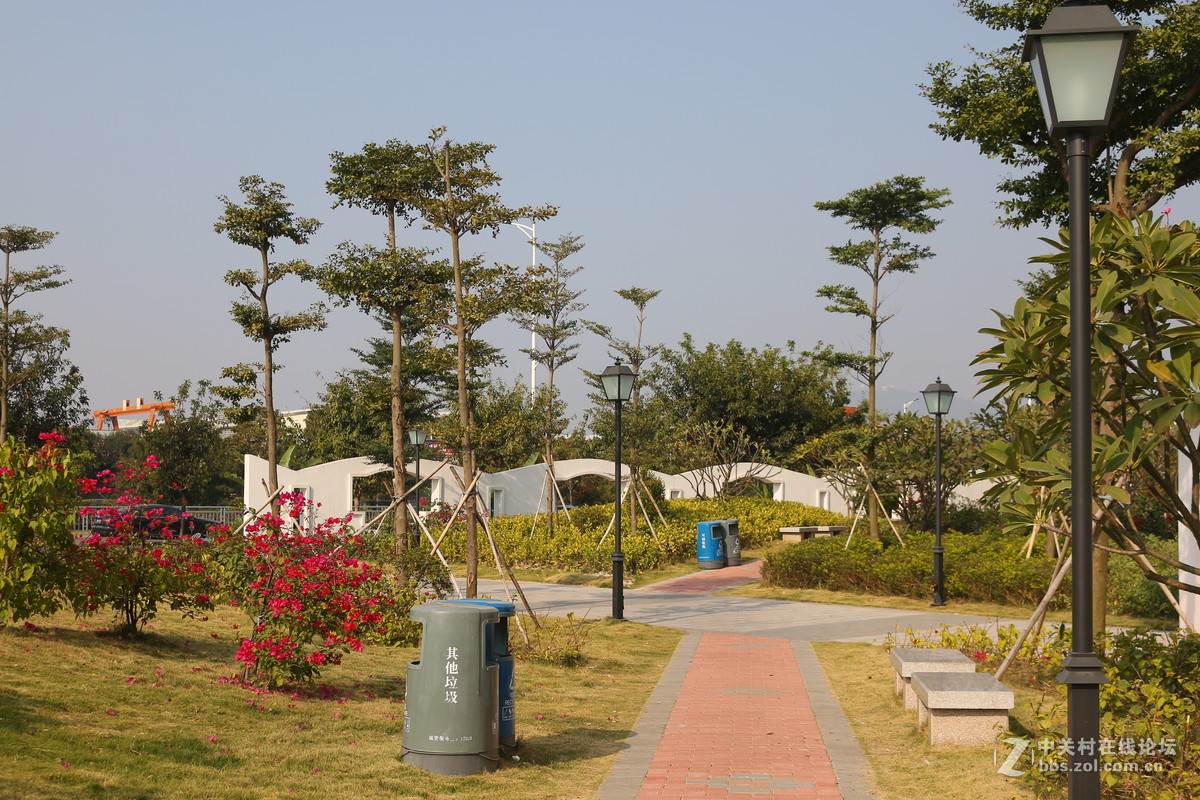 适马30 1.4A与狗头对比