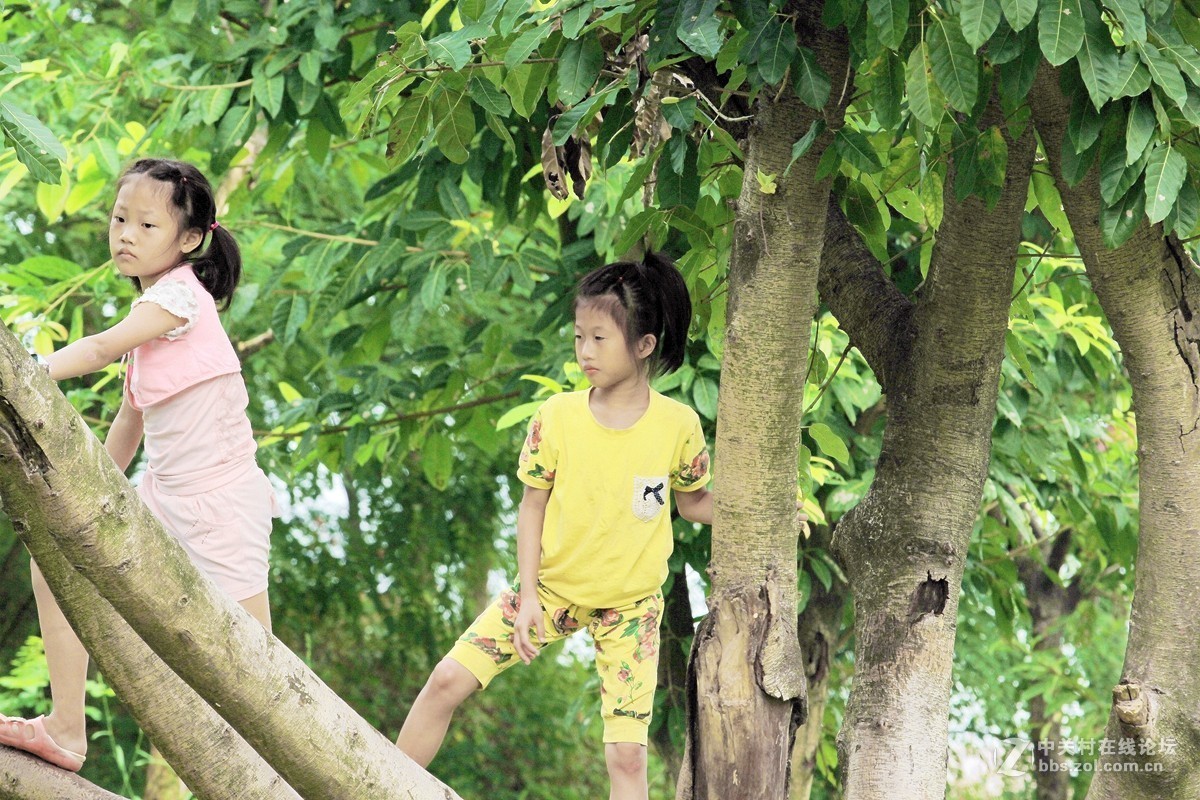 小女孩爬树