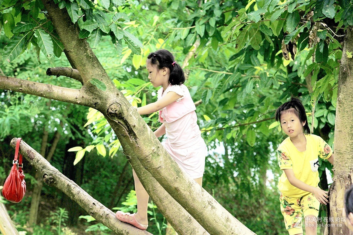 小女孩爬树