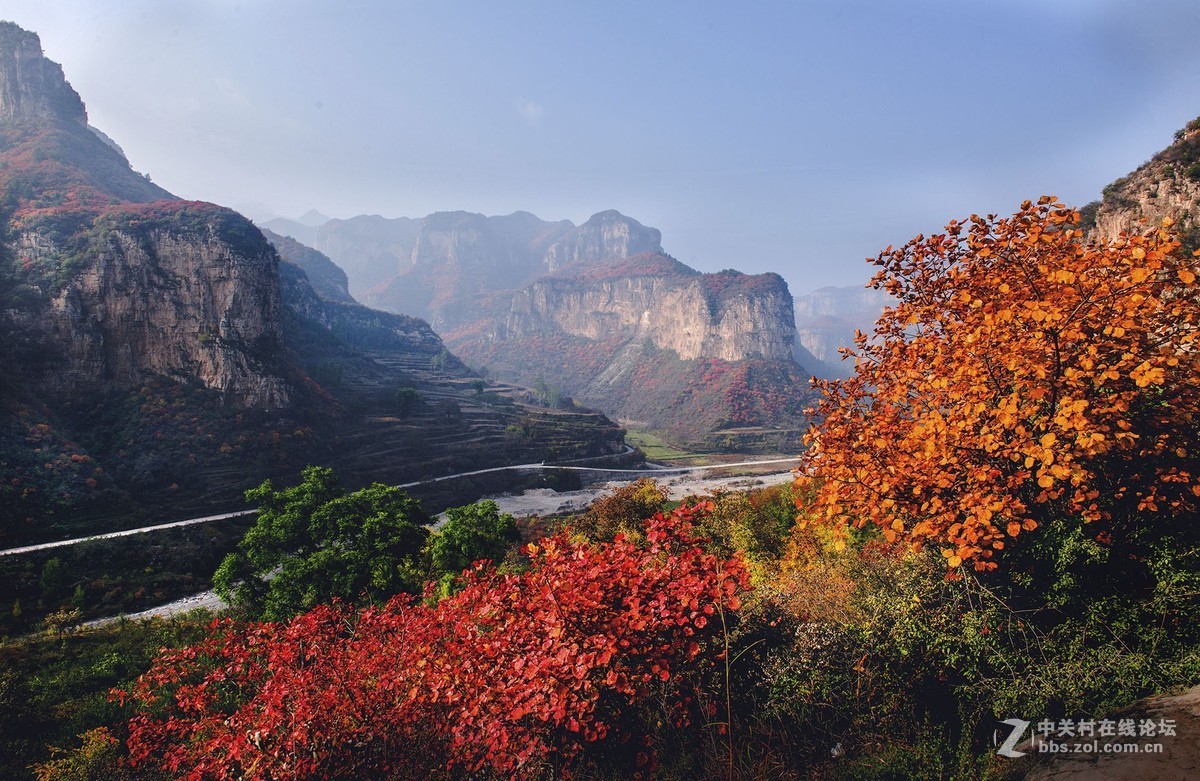 太行秋色2
