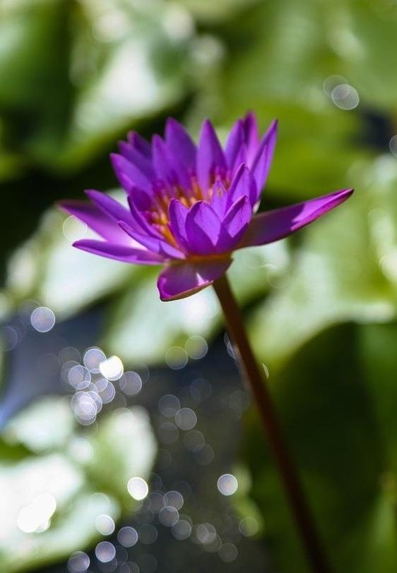 三个常用构图法