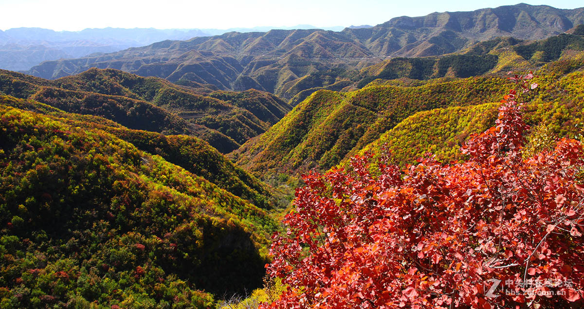 太行山上的紅葉1沿途風景3