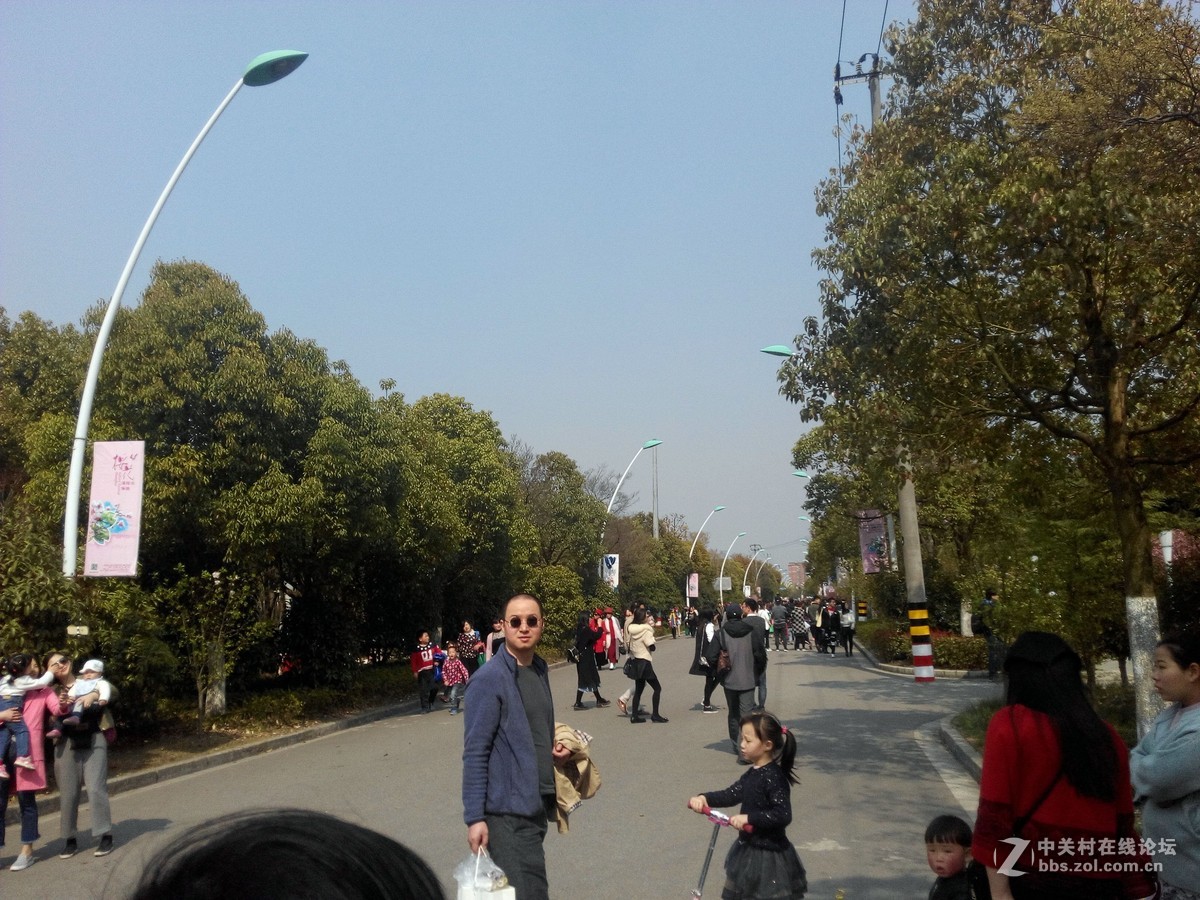 顾村公园