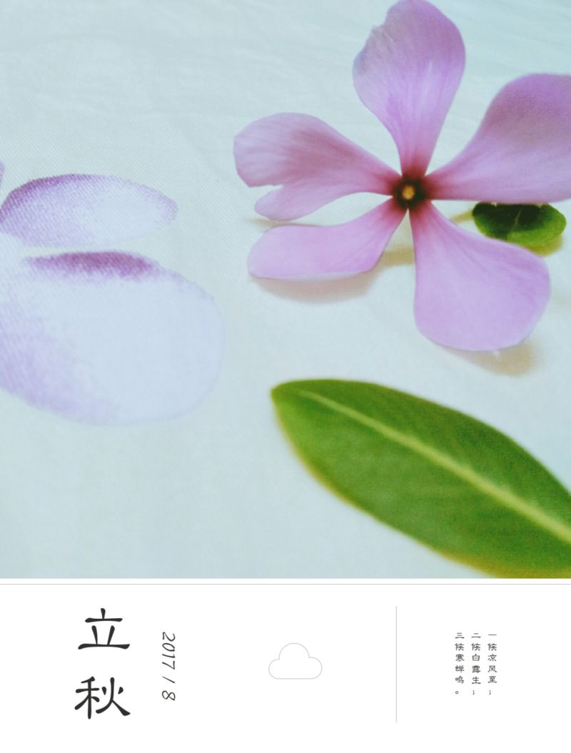 -秋天里的童话，秋天里的温馨烂漫---