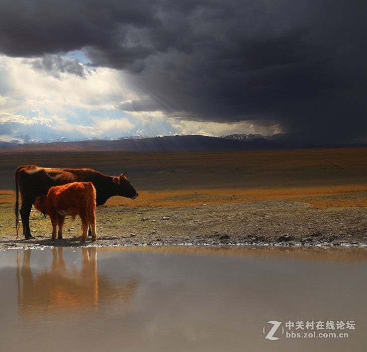 #佳能月赛-金秋十月#+《动与静》