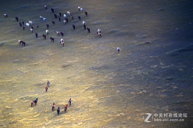 #佳能月赛-金秋十月#+《动与静》