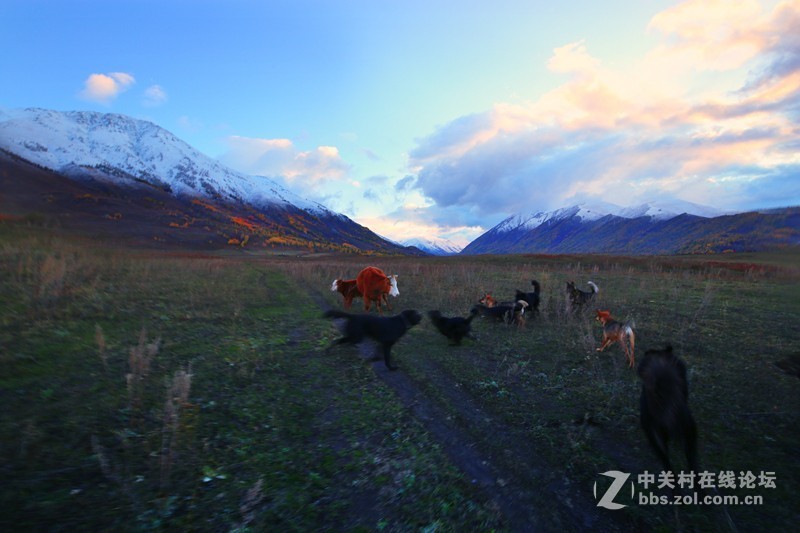 #佳能月赛-金秋十月#+《动与静》