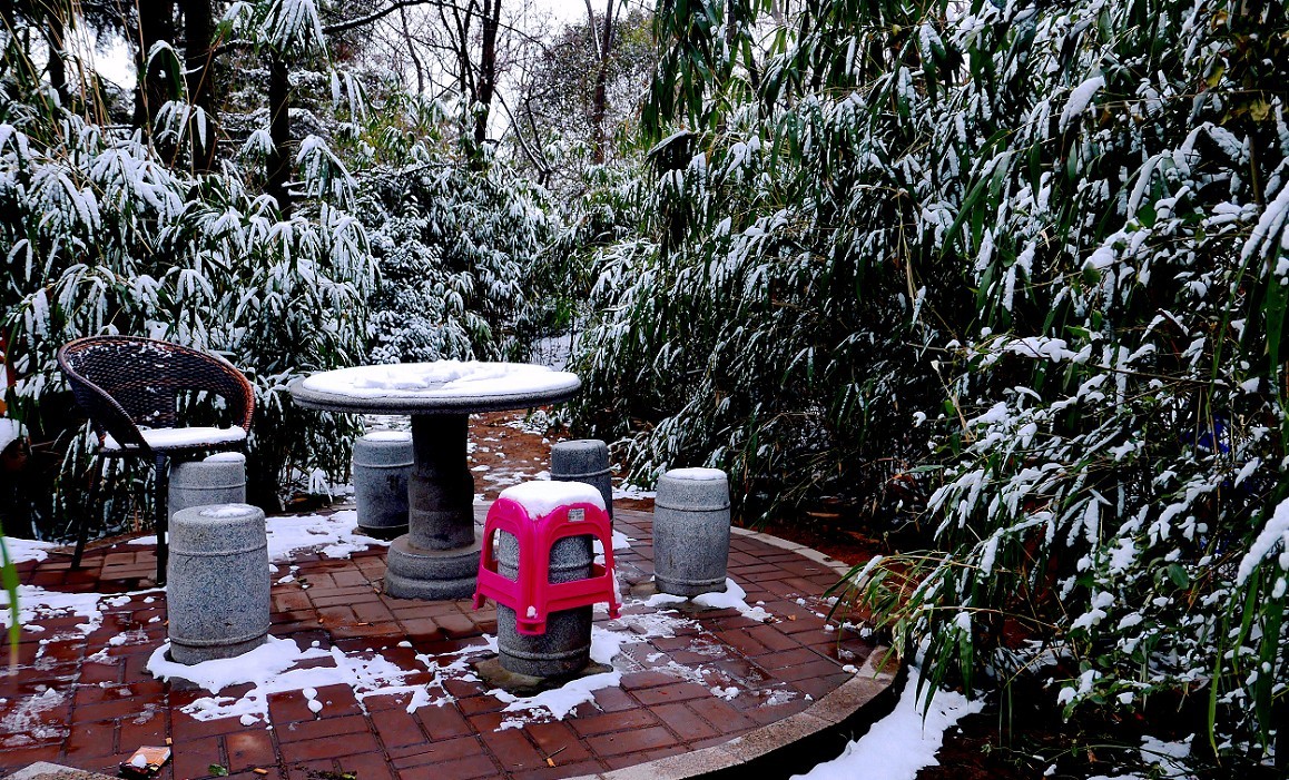 《2019的雪》全国大部分地区喜降大雪，只能在小区狭窄的地方拍点雪景，算是纪念吧！