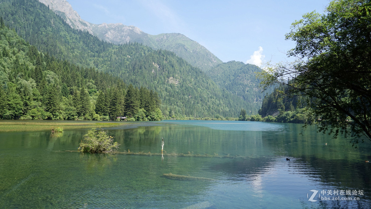 九寨沟竹箭海---贺彤鑫老师荣任索尼ILCE-7R星空(中国)版主