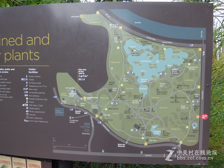 墨尔本皇家植物园（发帖失败没有成功上传照片重新发）