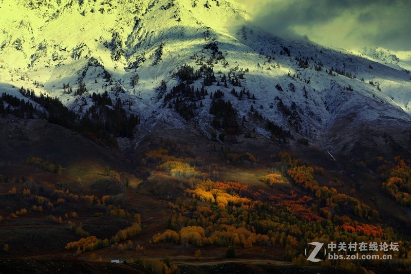 #佳能月赛-金秋十月#+山秋