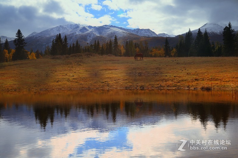 #佳能月赛-金秋十月#+《动与静》