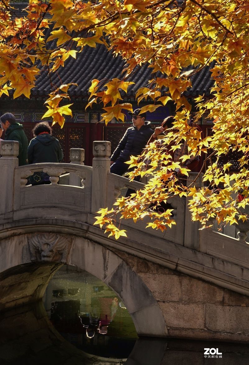 #ZOL月赛晒秋#  魅力香山公园