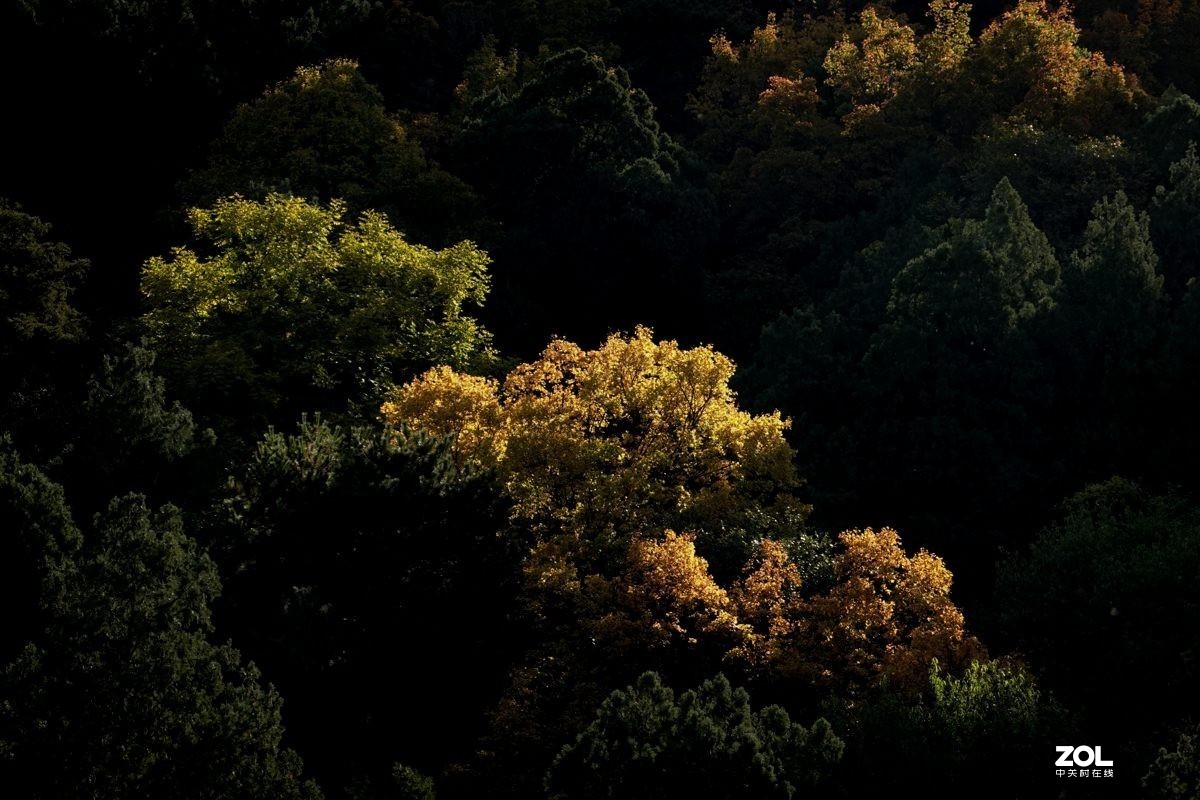 #ZOL月赛晒秋#  魅力香山公园