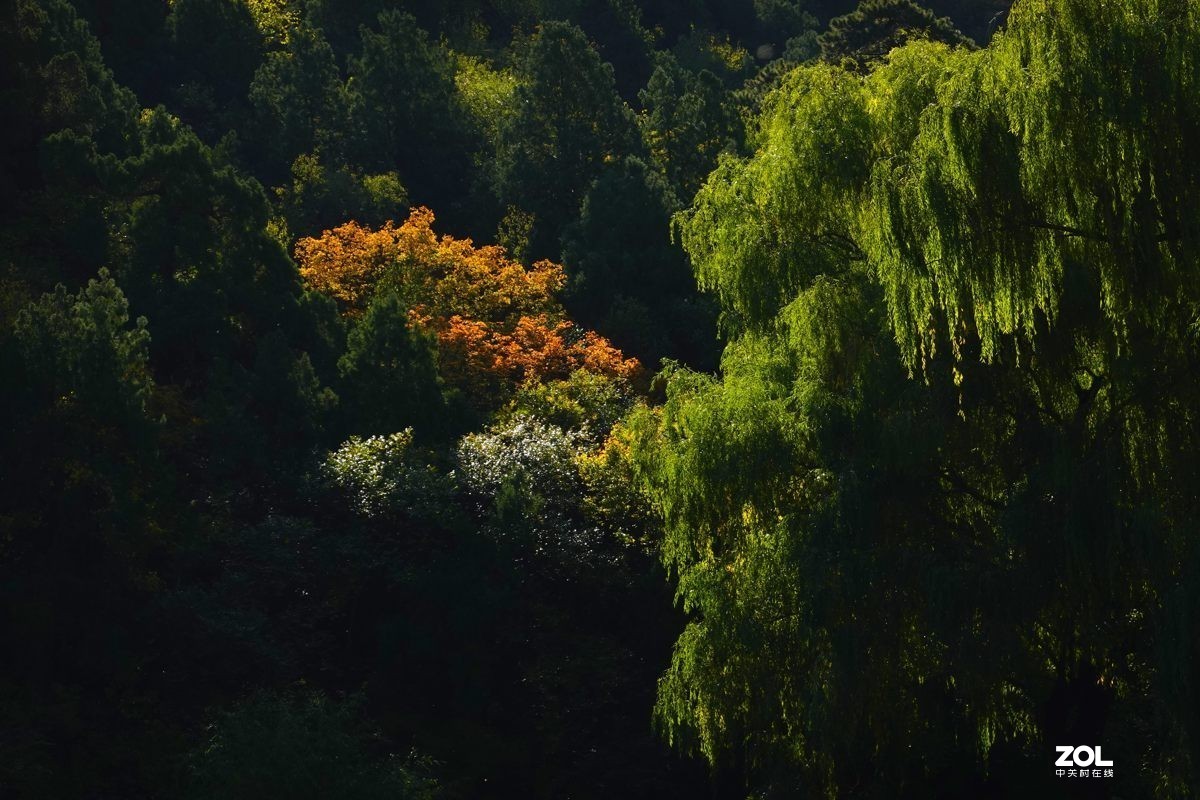 #ZOL月赛晒秋#  魅力香山公园