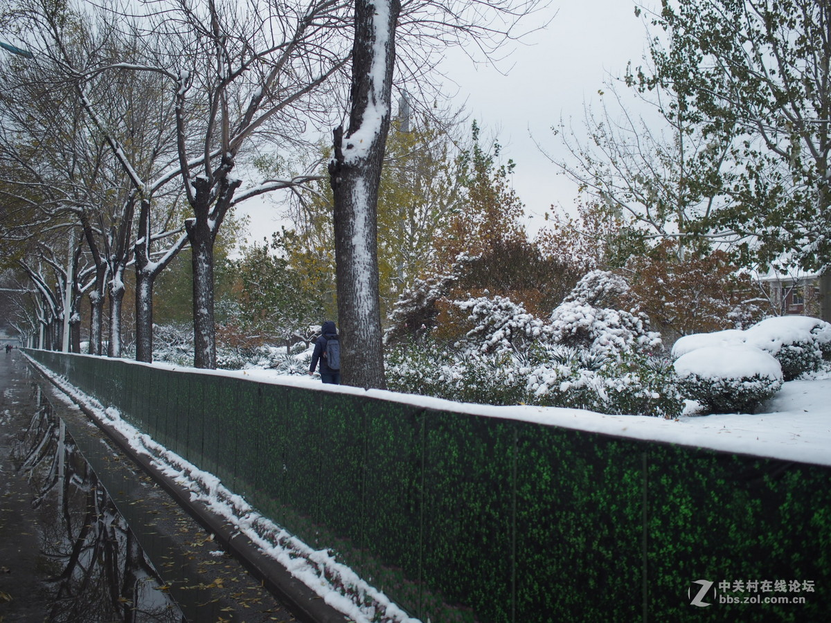 17定直出，正在学习ing