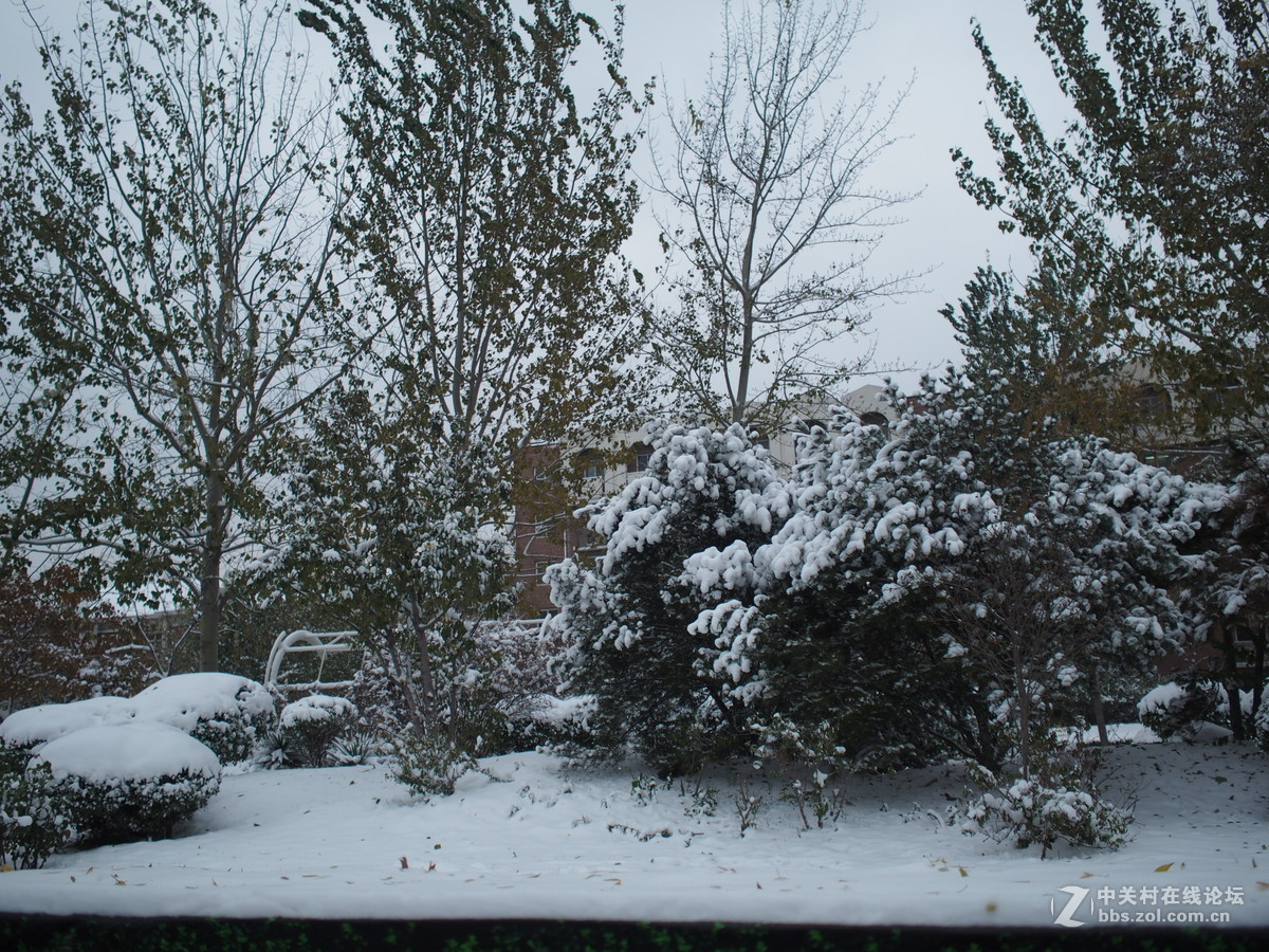 17定直出，正在学习ing