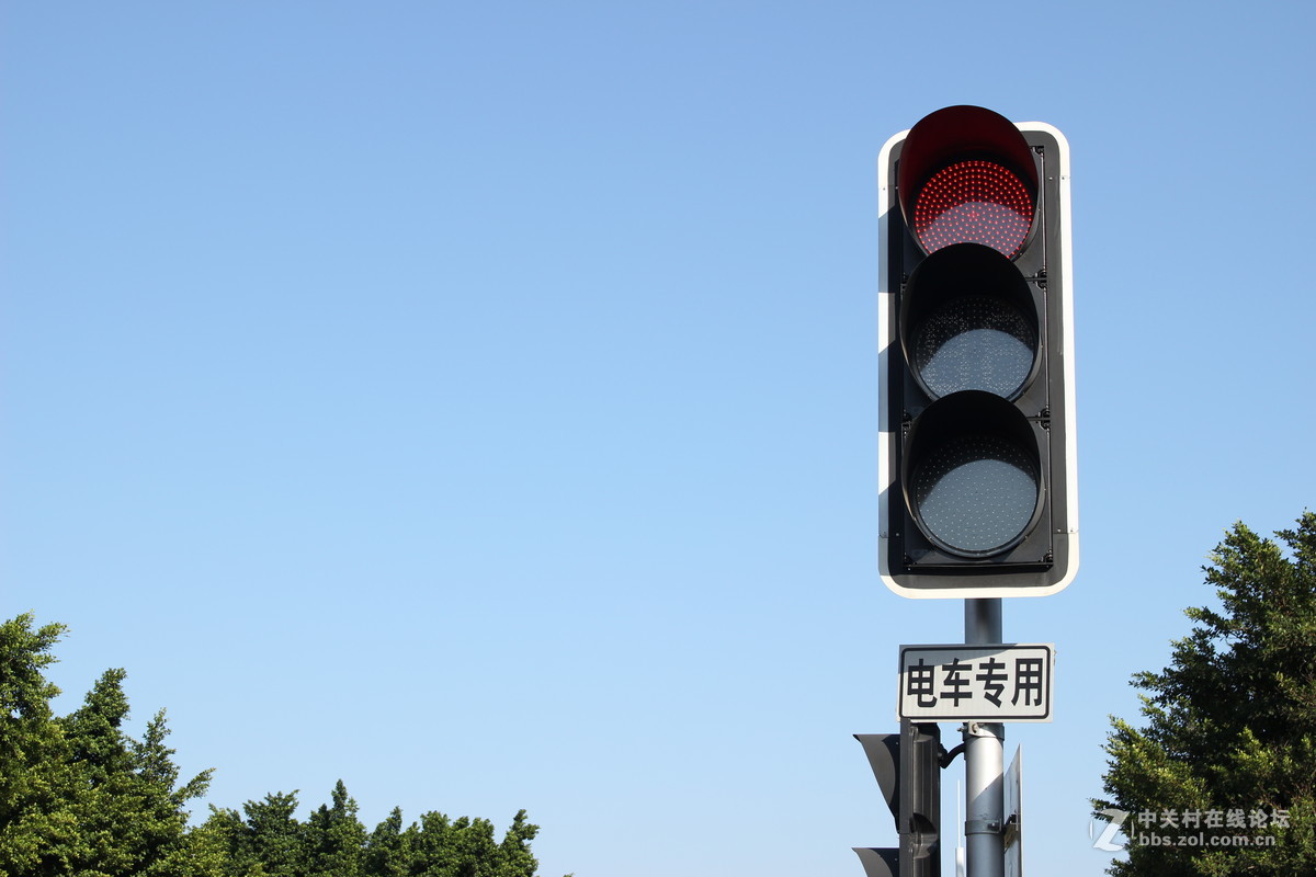 我的家花城广州