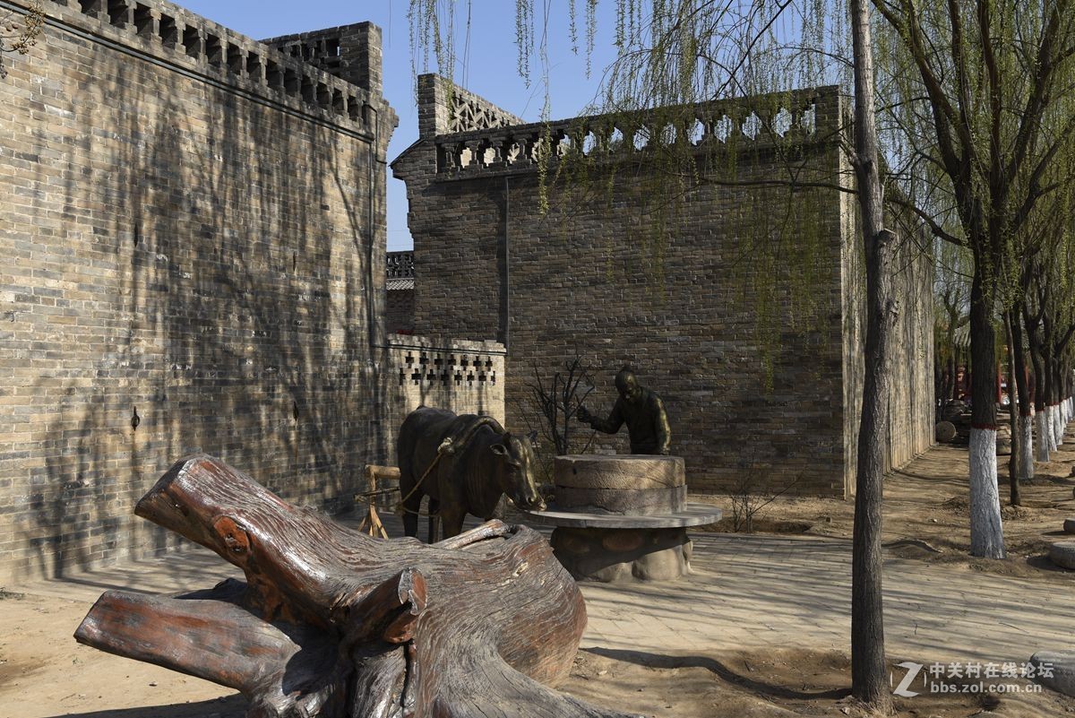 洪洞大槐树（二）