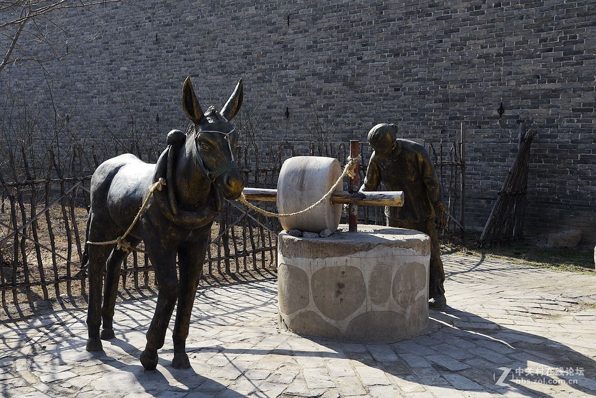 洪洞大槐树（二）