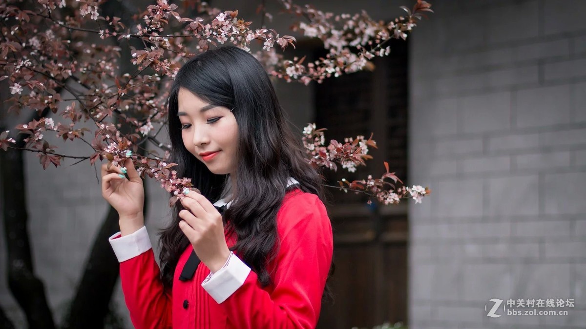 70D 50mm 1.4 北湖 春花梨雨 II