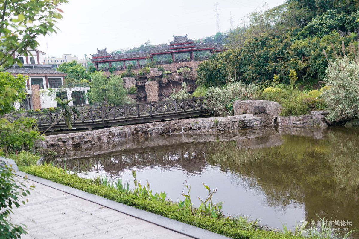 杂集 乱拍 景色人像