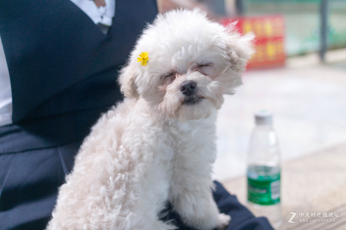 杂集 乱拍 景色人像