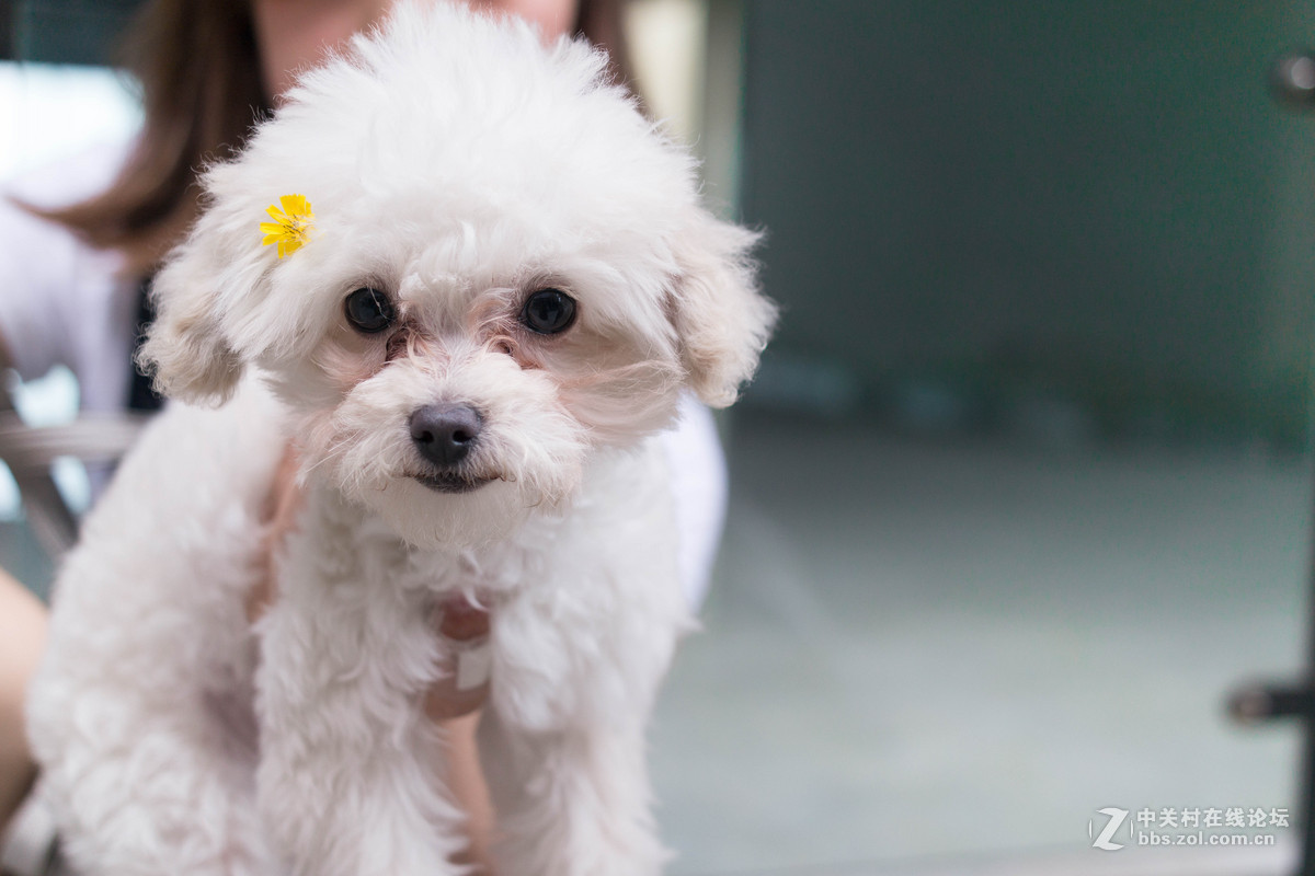 杂集 乱拍 景色人像